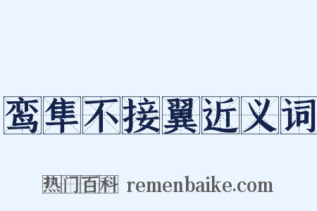 鸾隼不接翼近义词是什么意思的图片